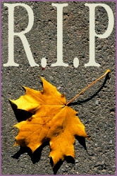 rip