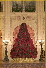 newportchristmas