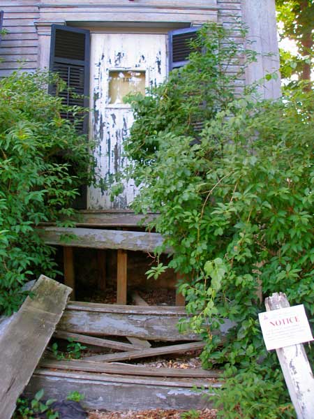 stepsdoor