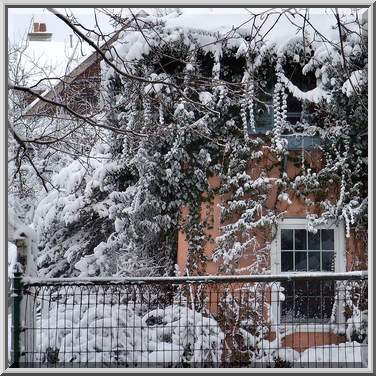 winterstreet