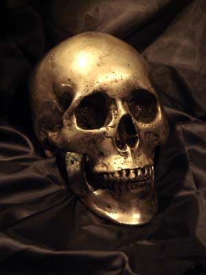 bronzeskull
