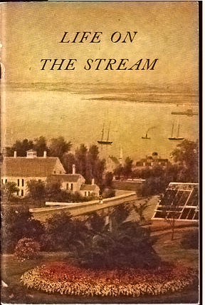 lifestream