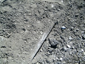 trolley-tracks-5