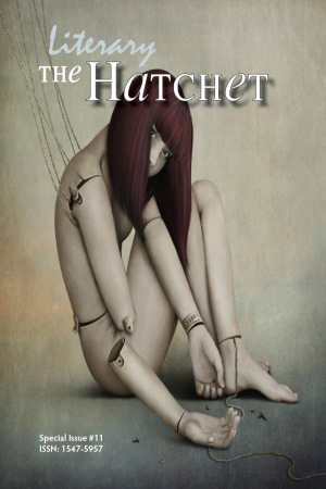 Literary Hatchet #11 cover