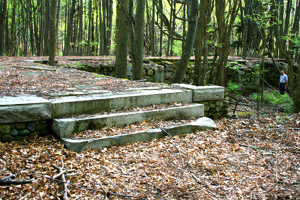 Rear entrance. John Miranda is inspecting the foundation, which is now just a tree grove.