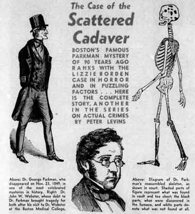 Case of the Scattered Cadaver illustration.