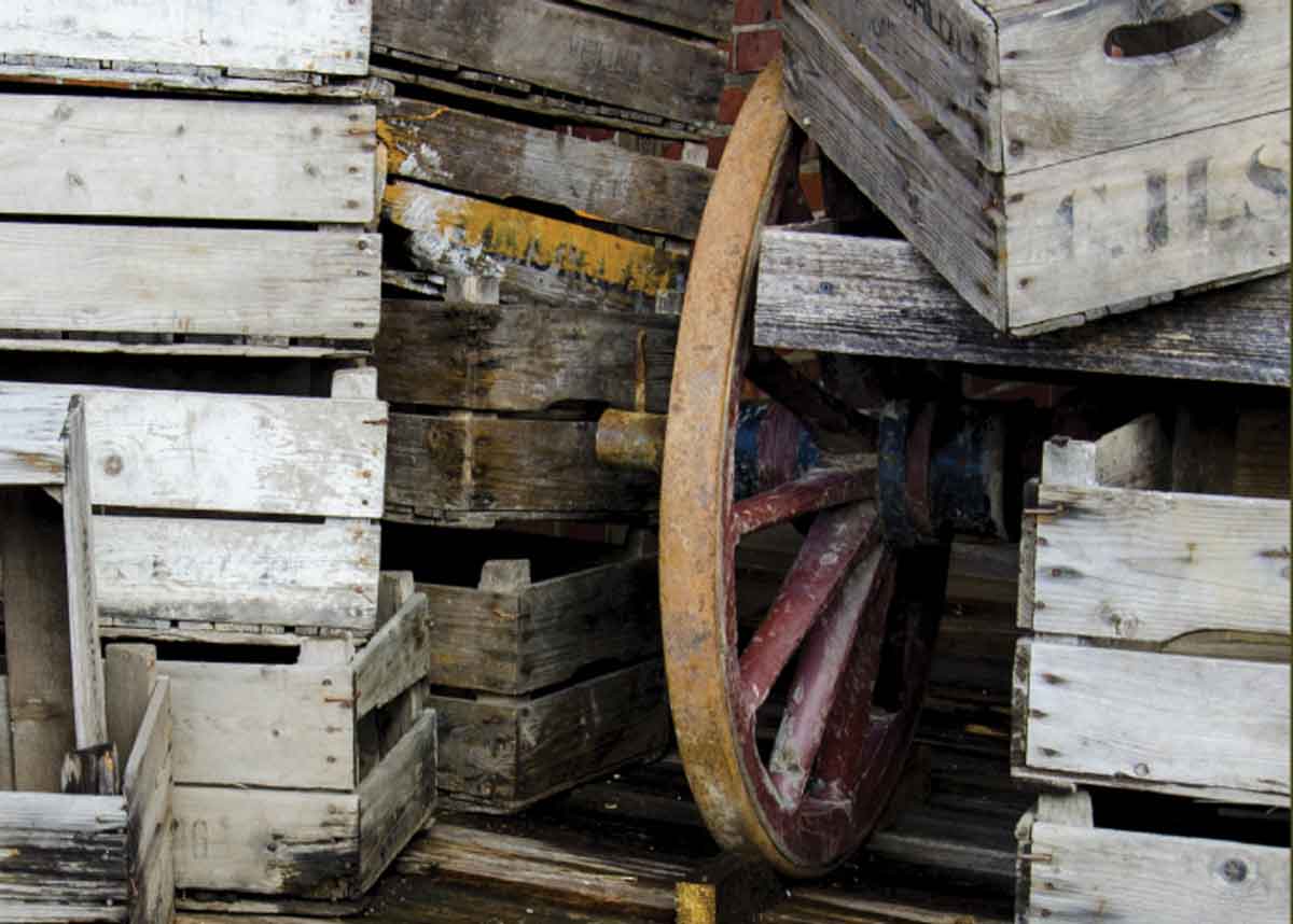 Collection of old things from a barn.