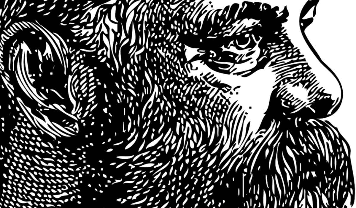 Close up of sketch of Hosea Knowlton.