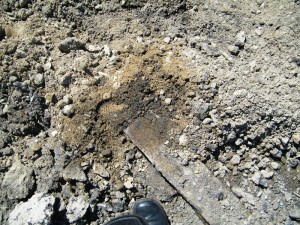 trolley-tracks-11 trolley-tracks-11
