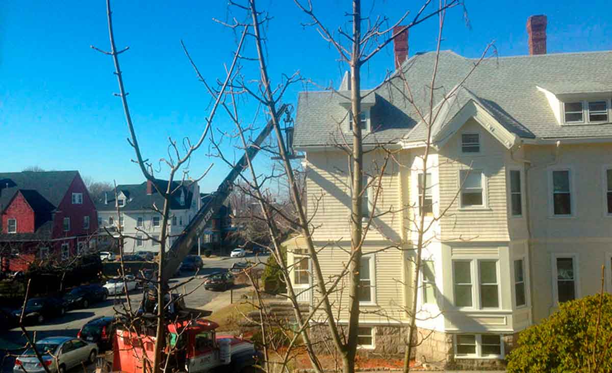 Maplecroft with crane outside taking the piano away.