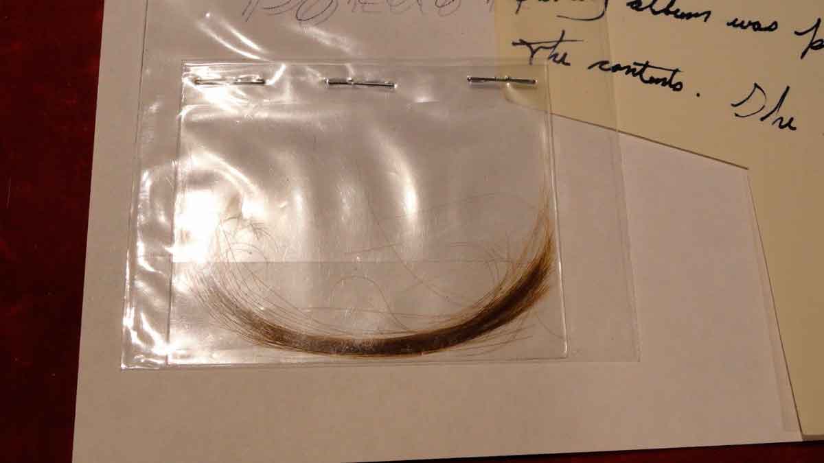 EBay Lizzie hair.